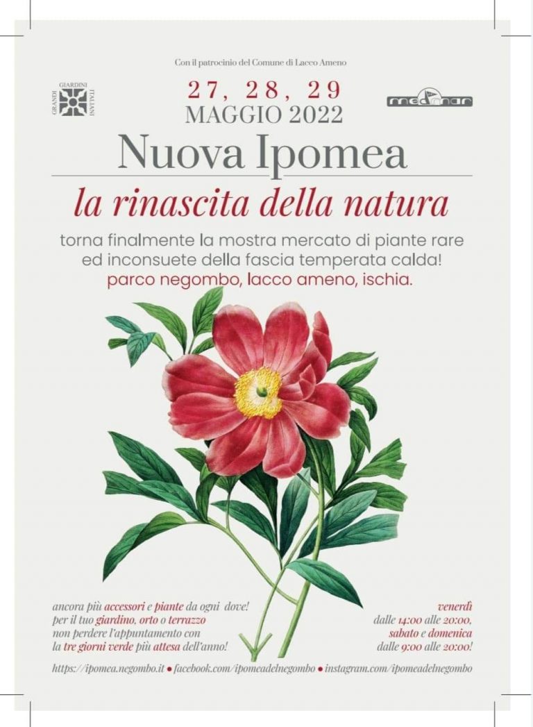 Nuova Ipomea del Negombo, dal 27 al 29 torna la mostra mercato di piante rare e inconsuete