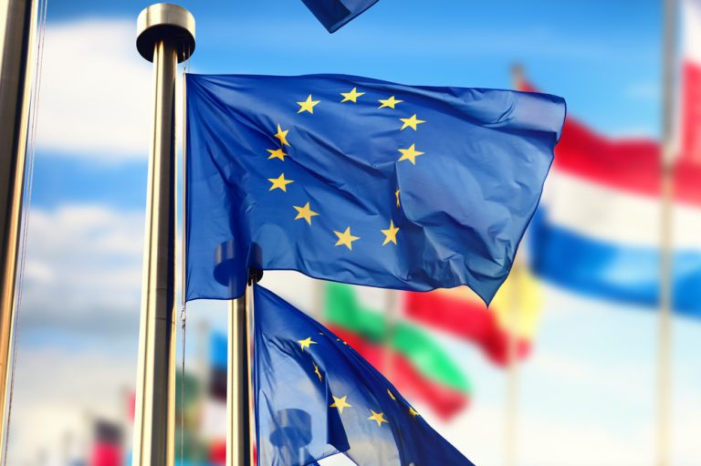 Elezioni Europee 2024: la sfida per il futuro d’Europa