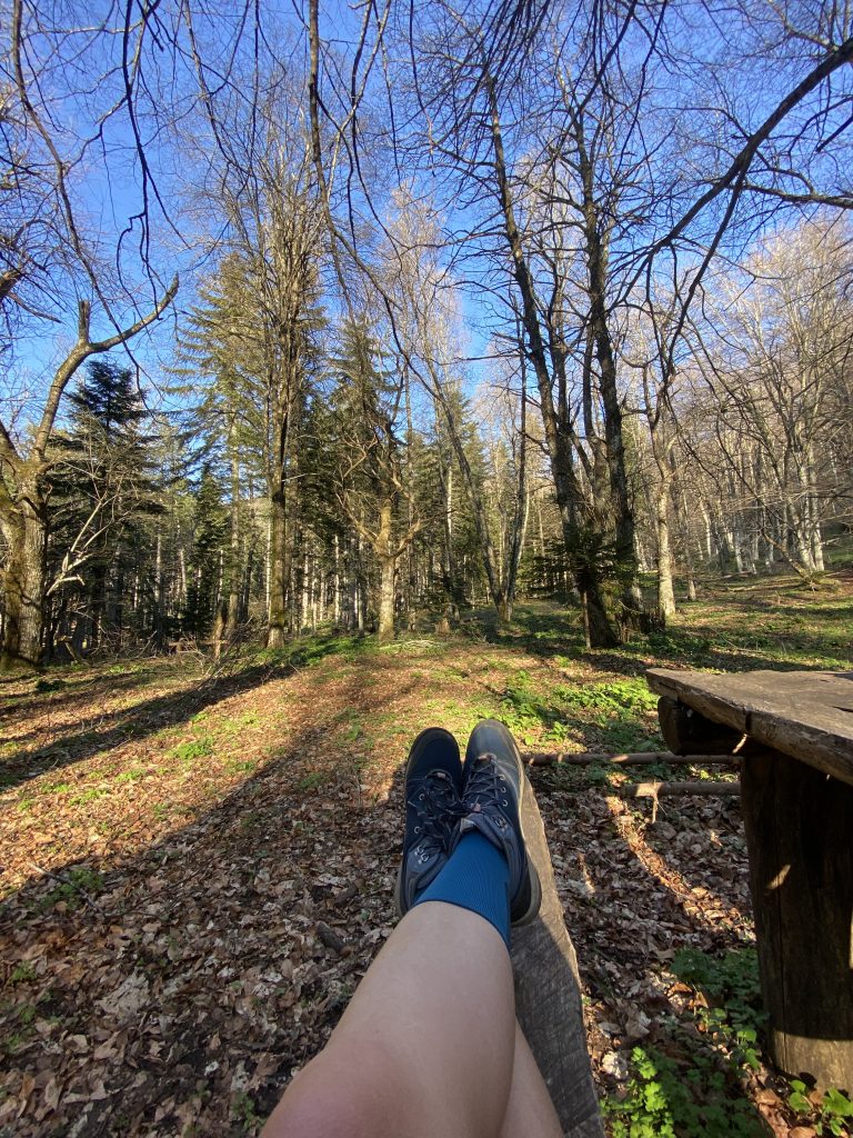 Natura: è il bosco la nostra batteria