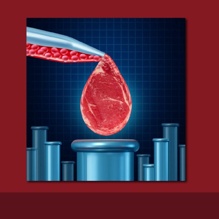 Carne sintetica al centro del dibattito mondiale