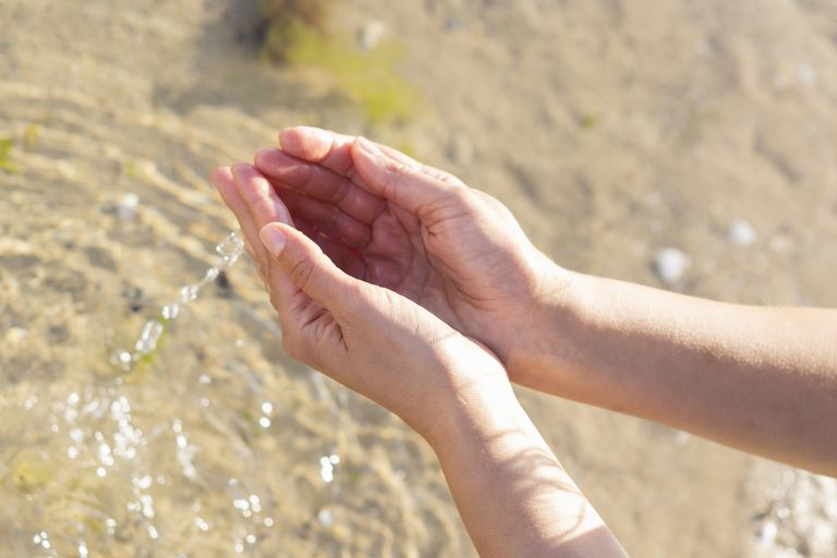 Giornata Mondiale dell’Alimentazione: più cibo con meno acqua